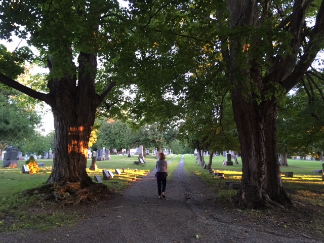A Return (Chatham Cemetery, August 2016)